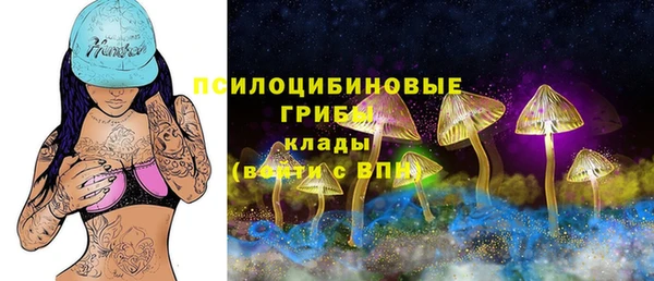 тгк Алзамай