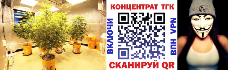 купить   Арамиль  Дистиллят ТГК вейп 